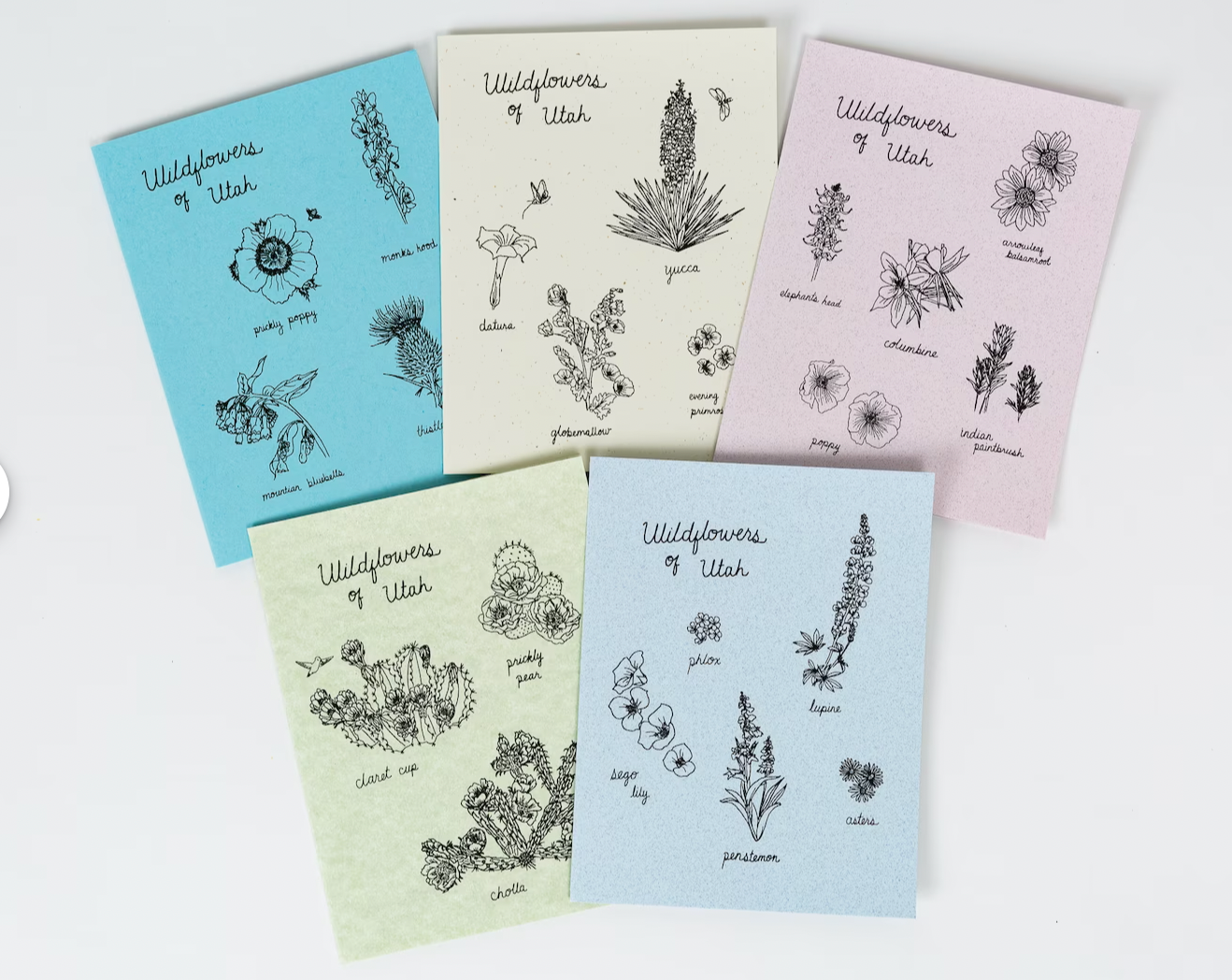 Wildflowers Notecard Set