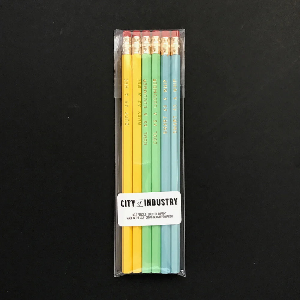 Pastel Pencil Set