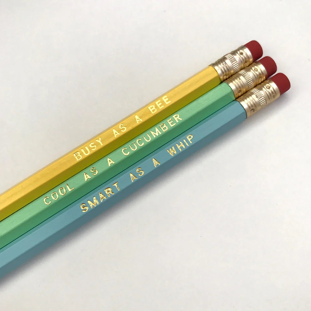 Pastel Pencil Set